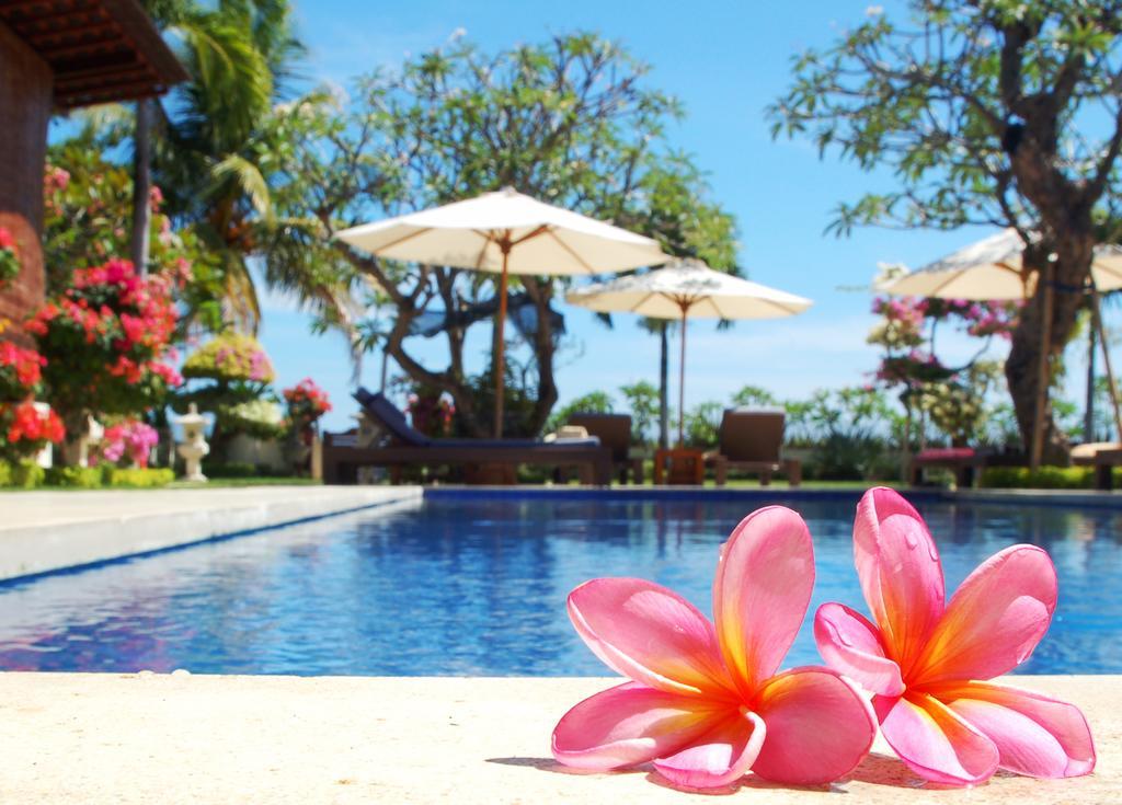 Frangipani Beach Hotel Lovina Eksteriør bilde